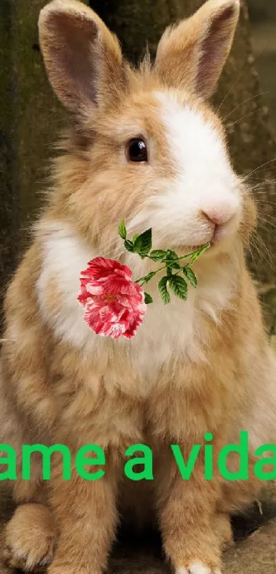 Rabbit Plant Whiskers Live Wallpaper