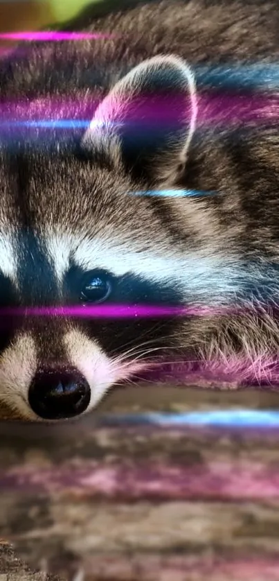 Raccoon with neon lights mobile wallpaper.
