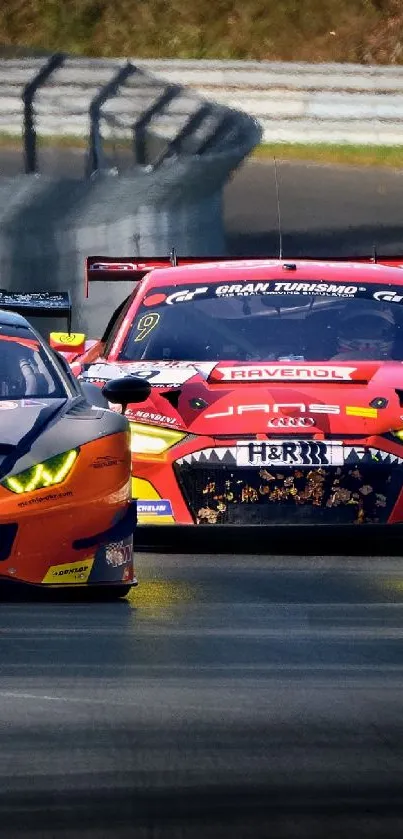 Two colorful racing cars on a scenic track.