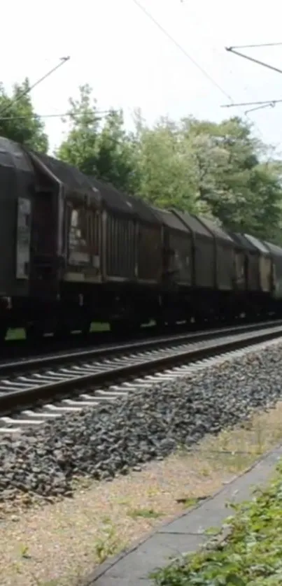 Long freight train on railway tracks amidst greenery.