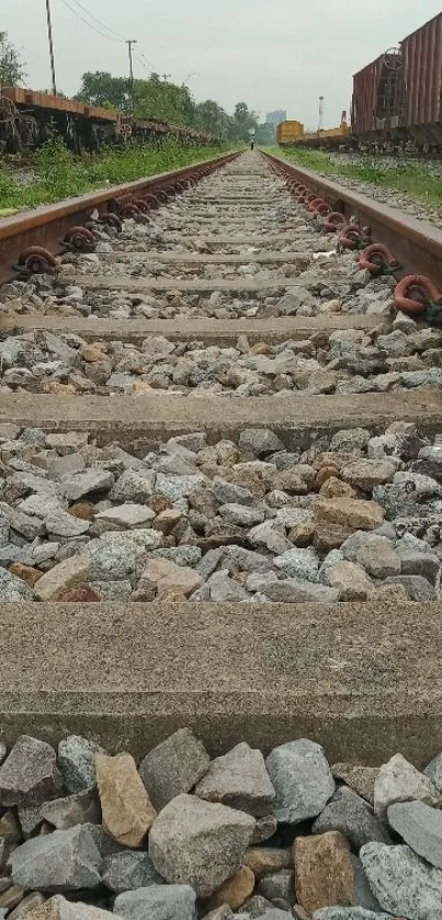 Railway tracks leading into the distance, surrounded by natural scenery.