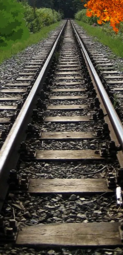 Scenic railway track with lush greenery and autumn colors.