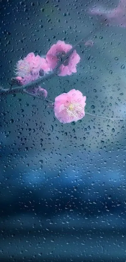 Mobile wallpaper of pink blossoms viewed through rain-speckled glass, creating a serene atmosphere.