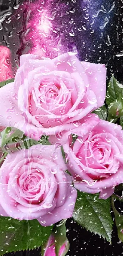 Pink roses with raindrops on a vibrant background wallpaper.