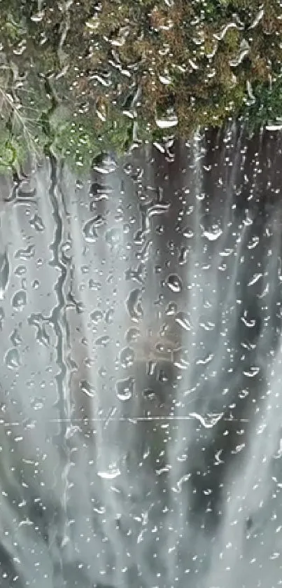 Raindrops on window with nature view in background wallpaper.