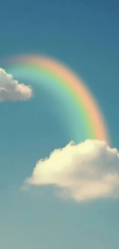 Mobile wallpaper of a rainbow over clouds.