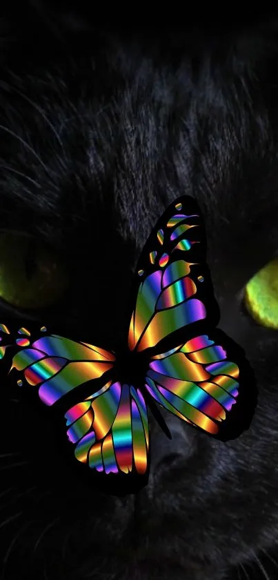 A colorful rainbow butterfly sits on a black cat's face with glowing green eyes.