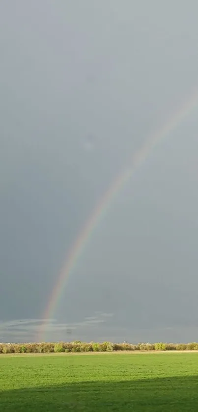 Vibrant rainbow over a green field under a cloudy sky.