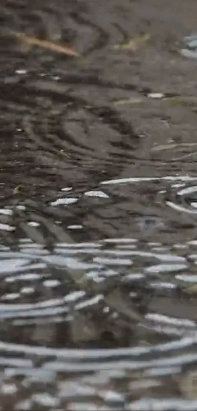 Close-up of raindrops creating ripples on water surface.