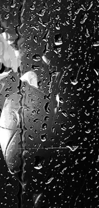 Black and white raindrop pattern wallpaper on glass surface.