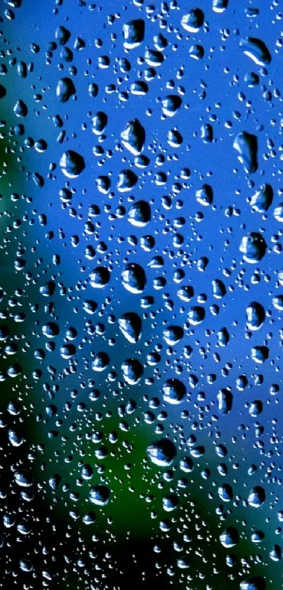 Raindrops on blue sky mobile wallpaper with nature's serenity.