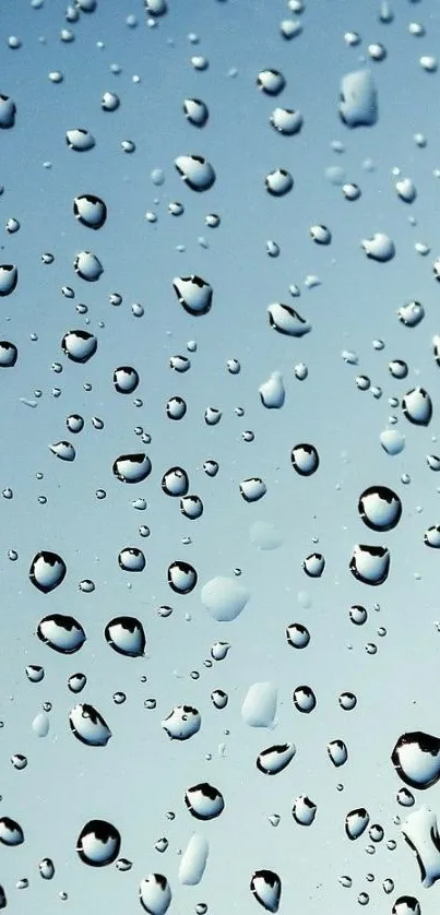 Raindrop patterned wallpaper with light blue sky backdrop.