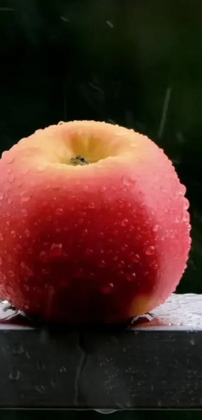 Red apple with raindrops on a dark background wallpaper.