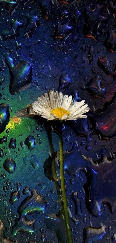 Mobile wallpaper featuring a daisy with colorful raindrop background.