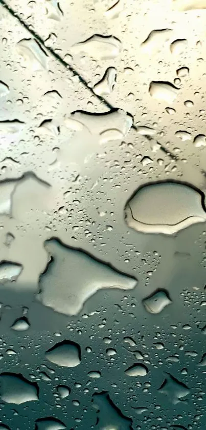 Raindrops on glass creating a calming and artistic backdrop.