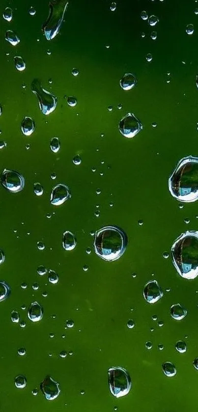 Green wallpaper with raindrops showcasing nature's beauty.