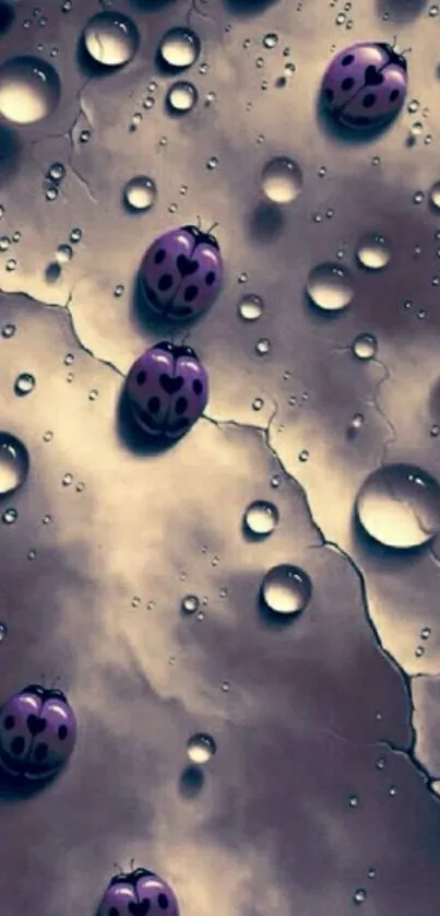 Purple ladybugs on a raindrop textured background wallpaper.