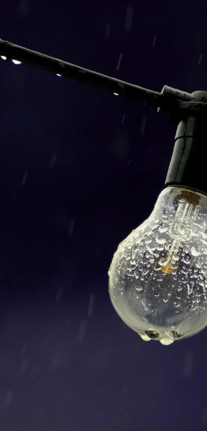 Lightbulb with raindrops on a dark background in rainy night.