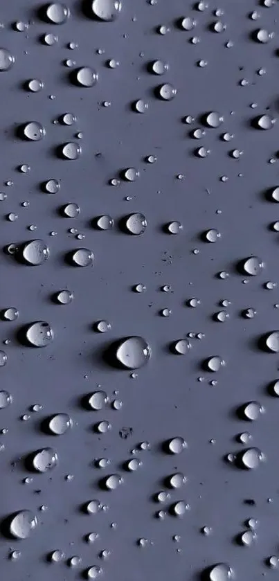 Close-up of serene raindrop pattern on a gray surface wallpaper.
