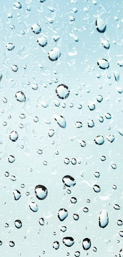 Water droplets on a soft blue gradient background.