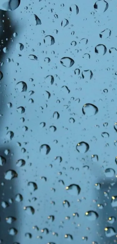 Raindrops on a glass window with a soothing blue background.