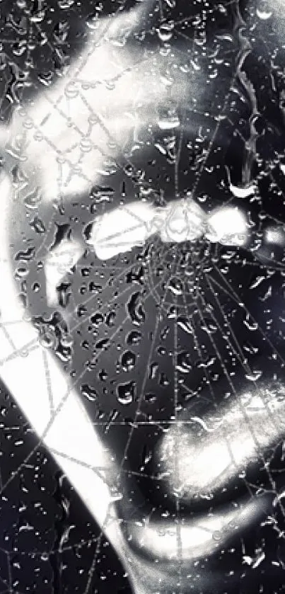 Spider web with raindrops on a dark background.