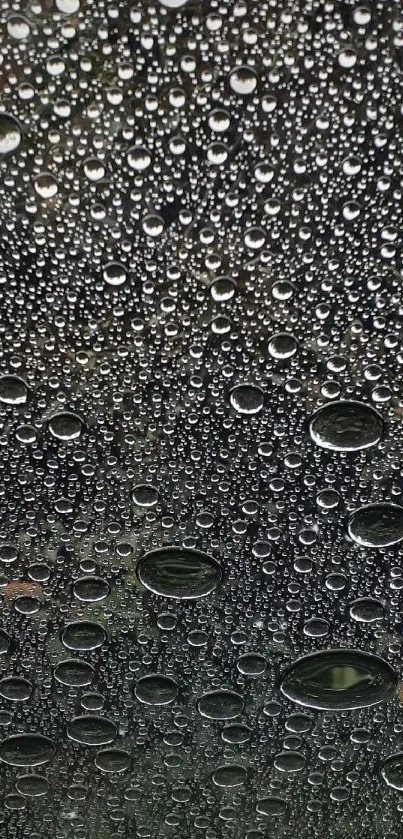 Close-up of raindrops creating a textured wallpaper design.