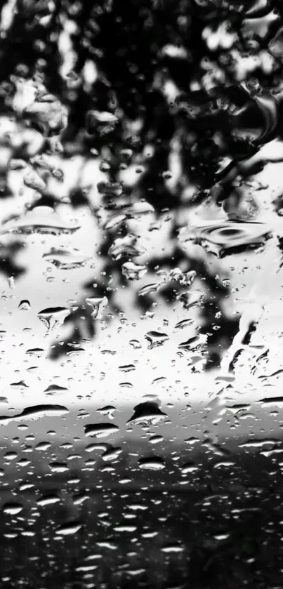 Black and white wallpaper of raindrops on a window creating a calming scene.