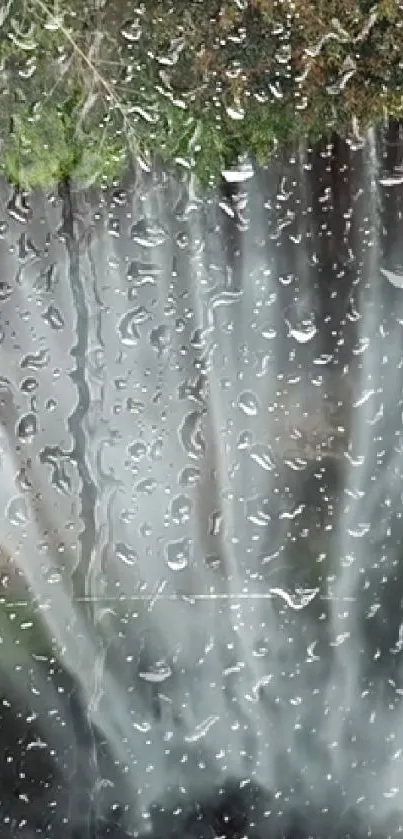 Rainy window with forest glimpses in the background.