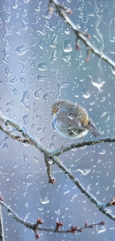 Bird perched on branch amid raindrops on a peaceful day.