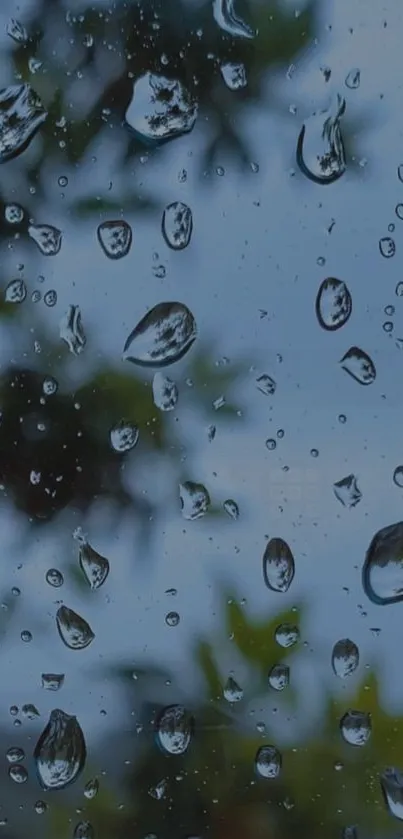 Clear raindrops on glass with blurred trees in background.