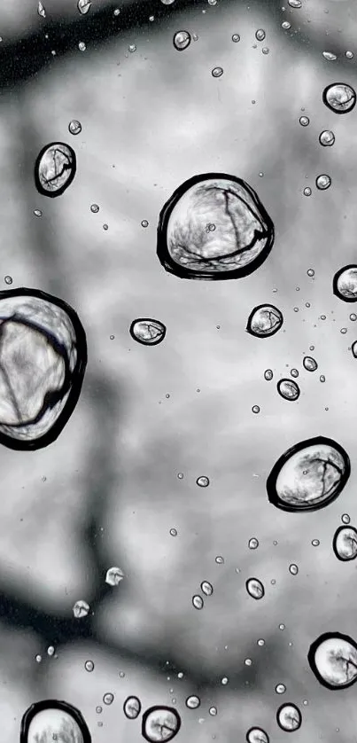 Monochrome raindrops on a window wallpaper.