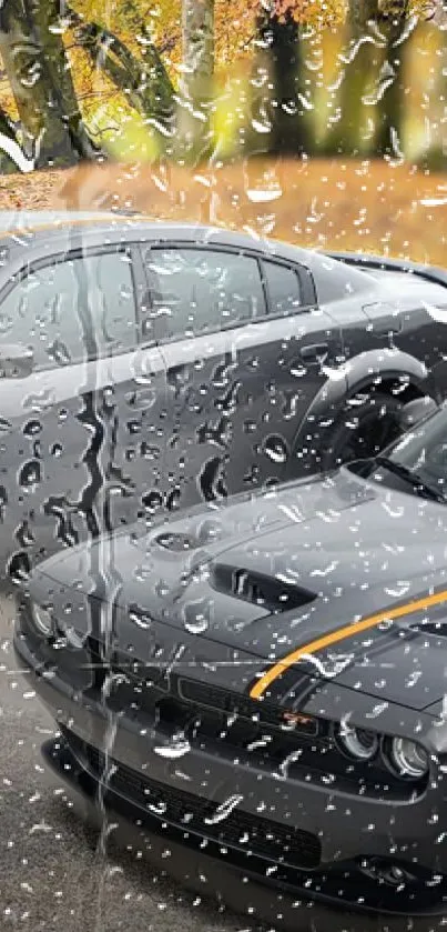 Sleek cars behind rain-covered glass with autumn leaves.