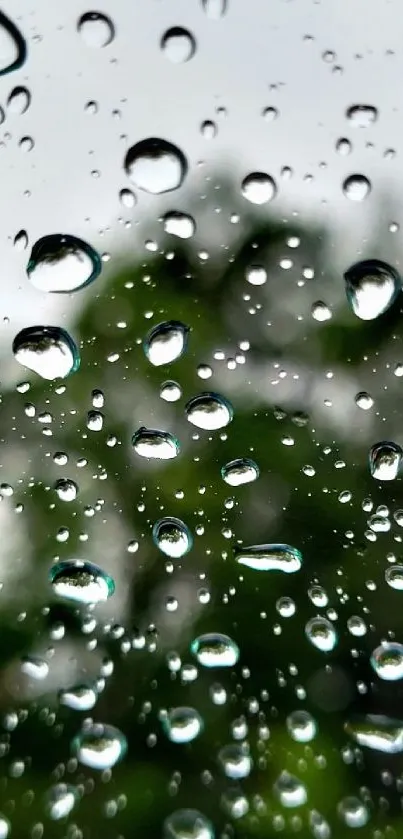 Clear rain droplets on glass with green and gray background.