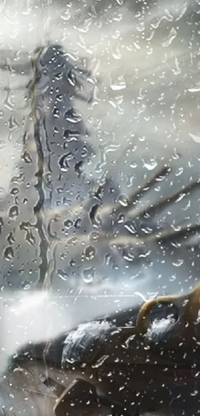 Mobile wallpaper with raindrops on a window and a blurred background.