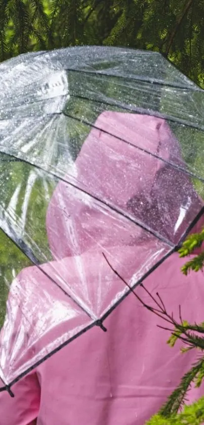 Person with pink jacket and clear umbrella in a lush, rainy forest setting.