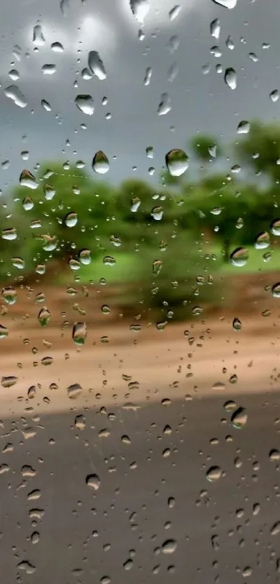 Raindrops on window with a view of lush greenery and a cloudy sky.