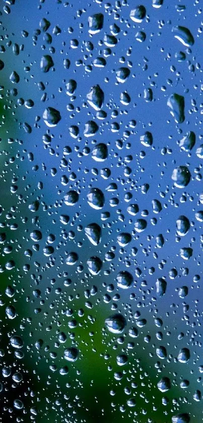 Raindrops on a window with nature backdrop in blue and green hues.