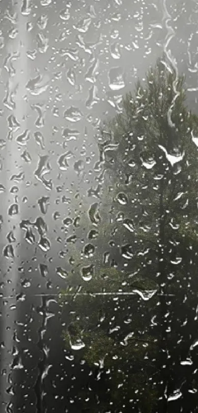 Mobile wallpaper with raindrops on glass and a misty forest background.