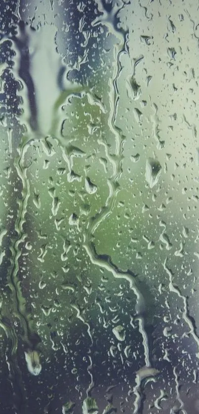 Raindrops on a window create a serene mobile wallpaper.