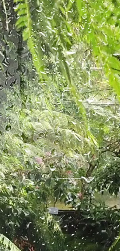 Lush jungle view through a rainy window.