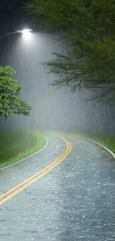 Rainy street path at night with dim lighting from a streetlamp.