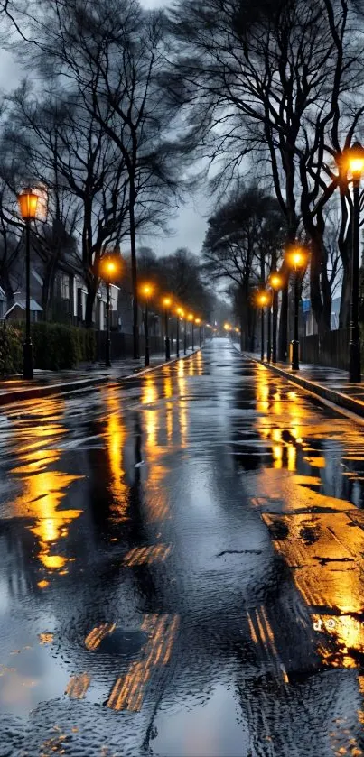 Wet street with glowing lamps on a rainy night.