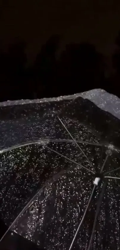 A clear umbrella in a rainy night with glistening raindrops.