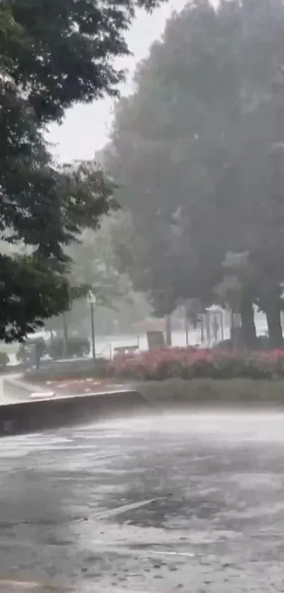 Serene rainy park scene with lush trees.