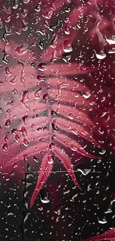 Mobile wallpaper of pink fern through raindrops on glass.