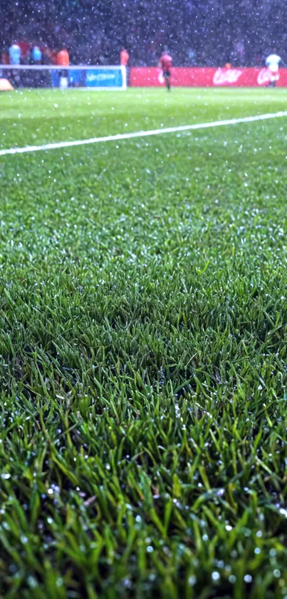 Rain-soaked soccer field under stadium lights, vibrant and dynamic.