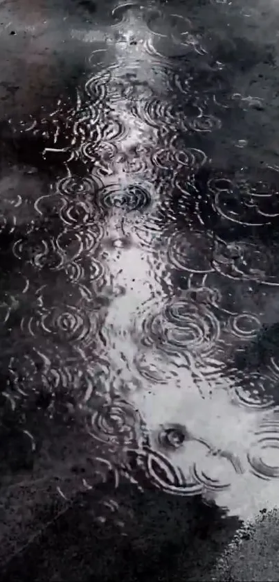 Reflection of raindrops on a wet street creating an artistic ripple effect.