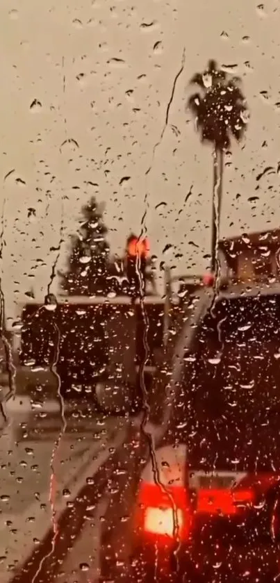 Rain-speckled window overlooking traffic with palm trees.