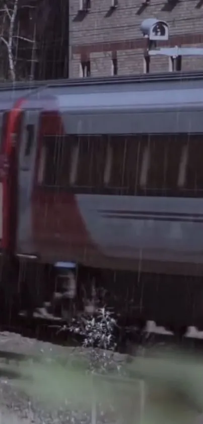 Train moving in the rain with an urban background in gray tones.